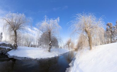 Şehir parkında kış.