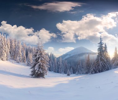 Dağlarda kış manzarası