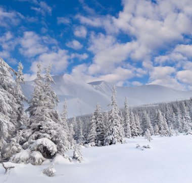 Dağlarda kış manzarası