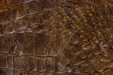 kahverengi deri dokusu