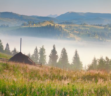 puslu dağlar köy sabah