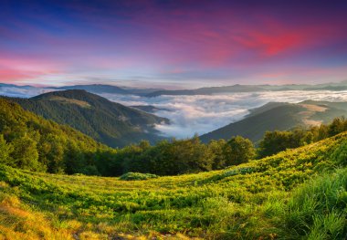 Dağlarda yaz manzarası.