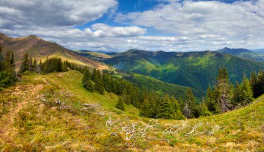 Dağlarda ilkbahar manzarası
