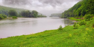 Nehirli yaz manzarası