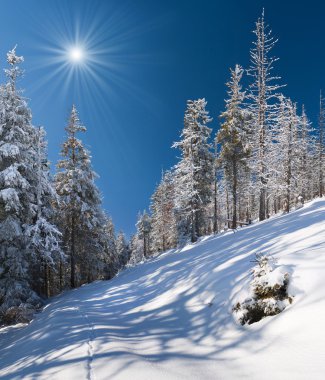 Themountains kış manzarası