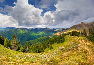 Karpat Dağları'nda manzara güzel bahar.