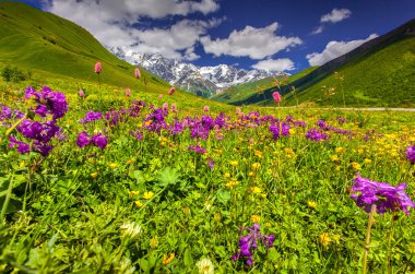 Kafkas Dağları'nda Alpine meadows.