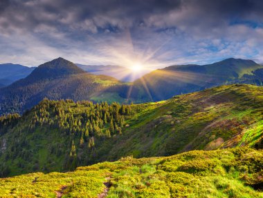 Dağlarda yaz manzarası