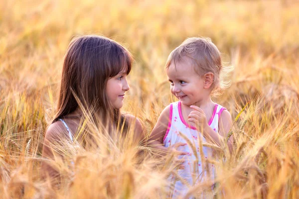 Hermanas en el campo de trigo —  Fotos de Stock