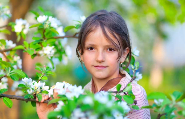 Fiatal lány, egy virág Alma kertjében — Stock Fotó