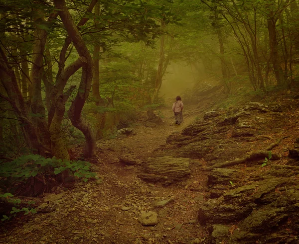 Menina andando na floresta nublada — Fotografia de Stock