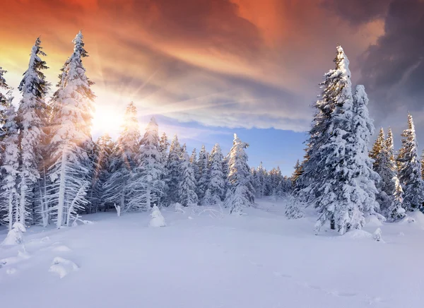 winter sunrise wallpaper