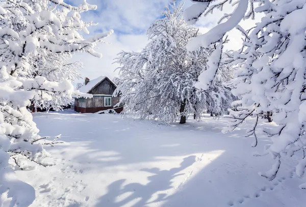 Wintersprookje in het bergdorp — Stockfoto