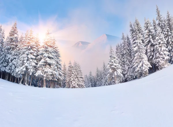 Зимний рассвет в горах — стоковое фото