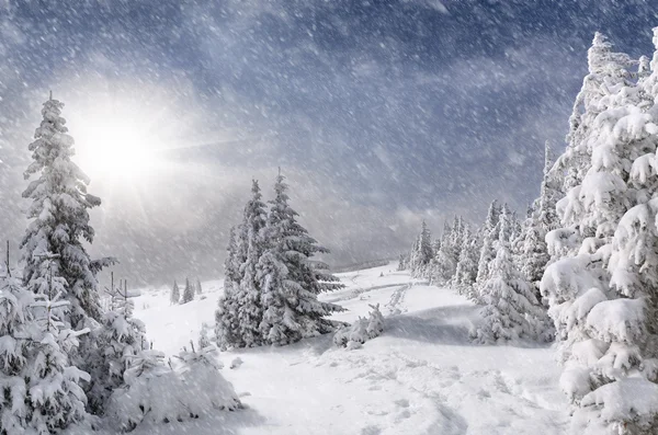 Dağlarda kar fırtınası