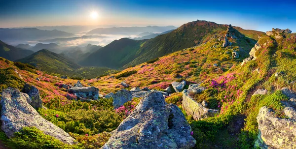 dağların Panoraması renkli yaz.