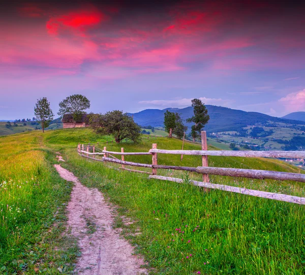 Summer sunrise in the mountains — Stock Photo, Image