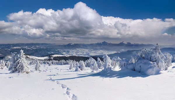 Winter landscape in Carpathian mountains