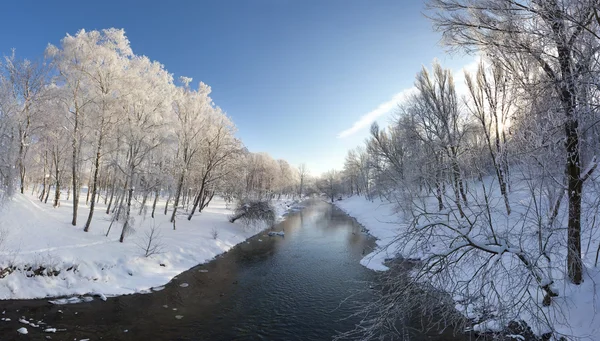 Winter in the city park — Stock Photo, Image