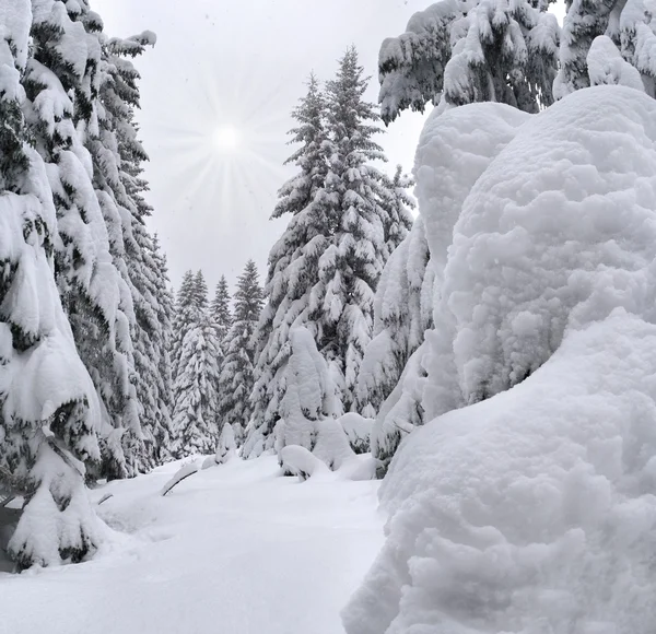 Tempestade de neve nas montanhas — Fotografia de Stock