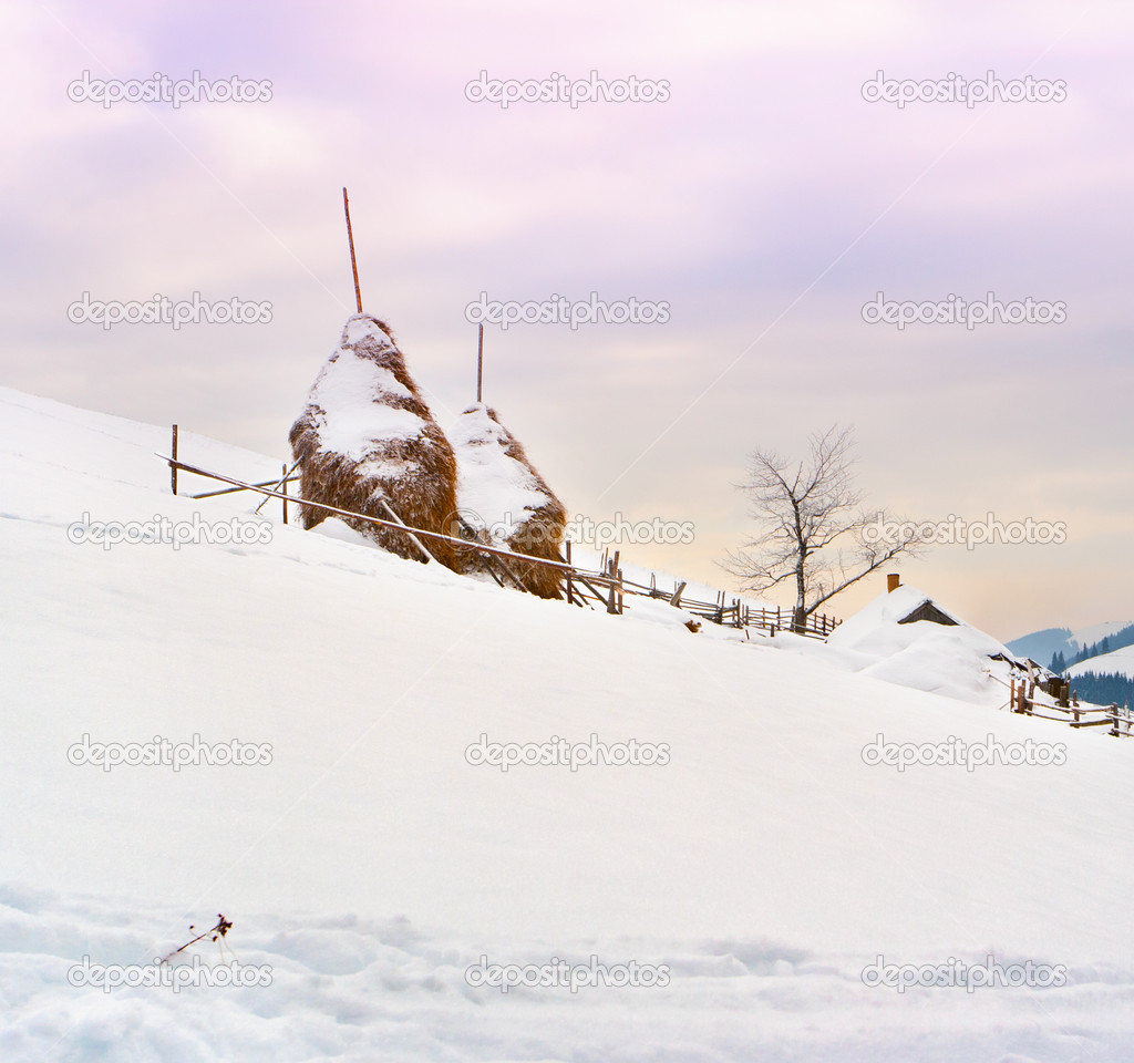 Winter in the Carpathian village