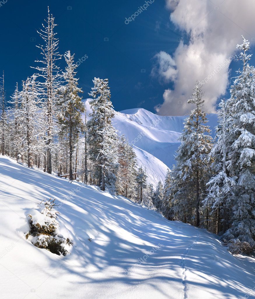 Winter landscape in themountains