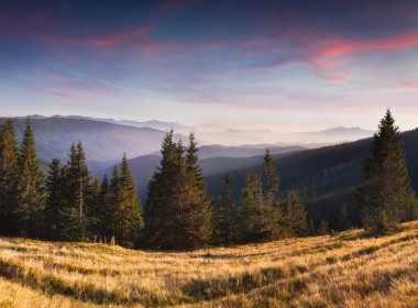 dağlarda yaz peyzaj.