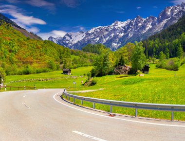 İsviçre Alpleri'nde Alpine meadows. 