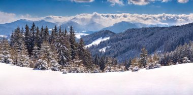 Kış Karpat Dağları Panoraması