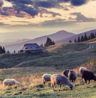 sonbahar manzara dağ köyü.