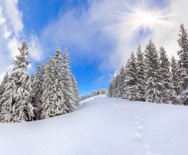 Dağlardaki güzel kış manzarası