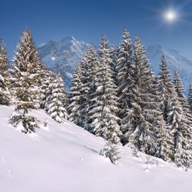 Dağlarda kış sabahı