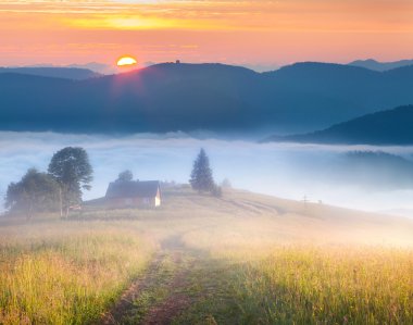 Yaz manzara dağ köyü