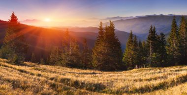 Dağlarda yaz manzarası.
