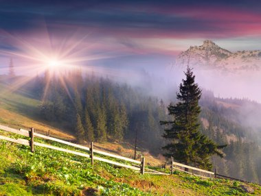 Dağlarda ilkbahar manzarası.