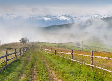 güzel yaz peyzaj bir dağ köyünde.