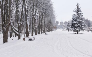 karla kaplı manzara Şehir Parkı.