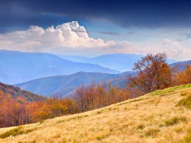 Dağlarda sonbahar manzarası