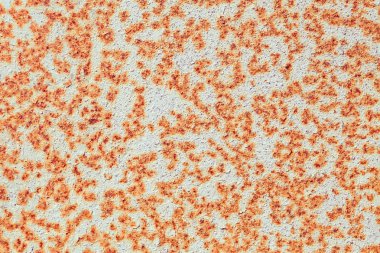 Grunge duvar dokusu arkaplanı.