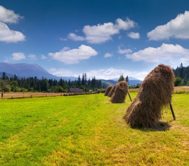 dağlarda bir köyde saman