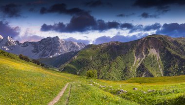Kafkas Dağları'nda Alpine meadows. 