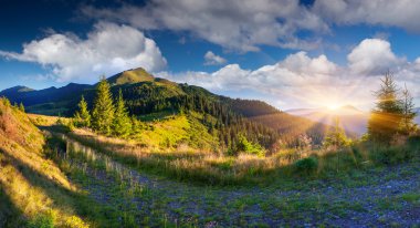 Karpat dağlarında yaz manzarası.