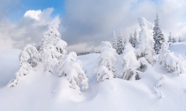 Themountains kış manzarası