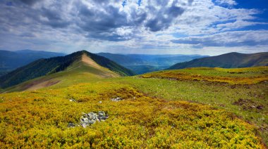 Dağlarda yaz manzarası