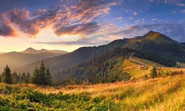 Dağlarda sonbahar manzarası.