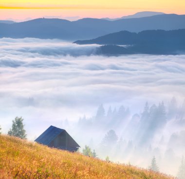 Ahırda dağlarda yaz