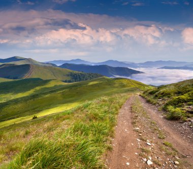 Karpat dağlarında yaz manzarası.