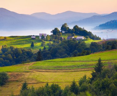 Літній пейзаж у Карпатському селі.