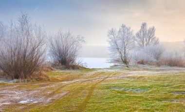 ormandaki ilk frost. 