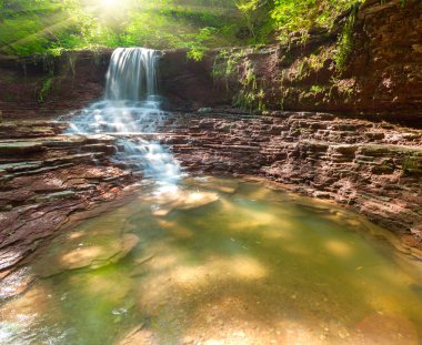 декорації водоспаду в середині лісу